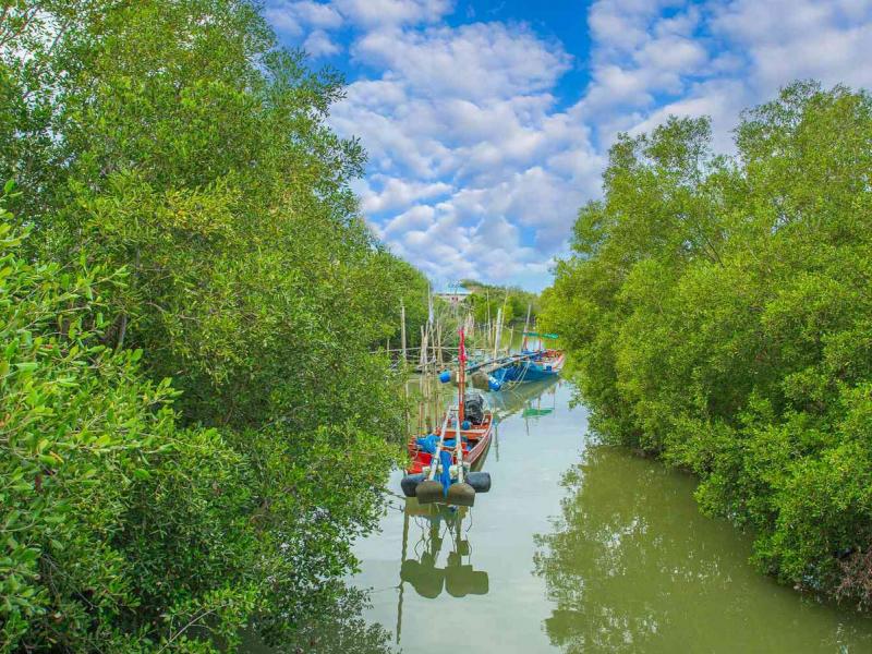 Speed Boat to Can Gio mangrove forest