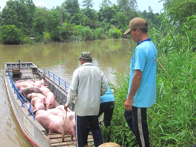 Biking to Phu Quoc Islands, cycling through Mekong Delta, Vietnam